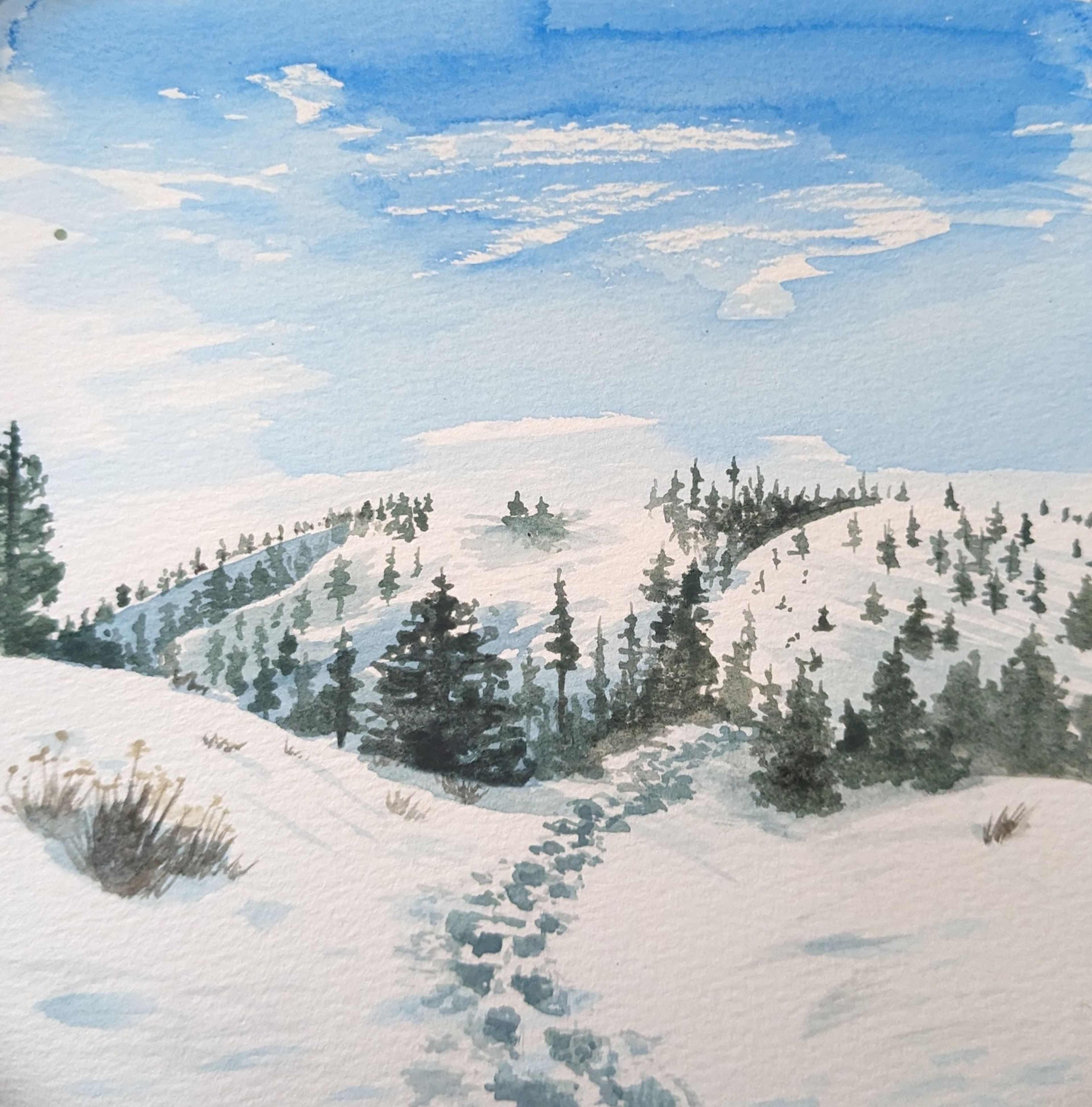 Snowy landscape near Big Bear