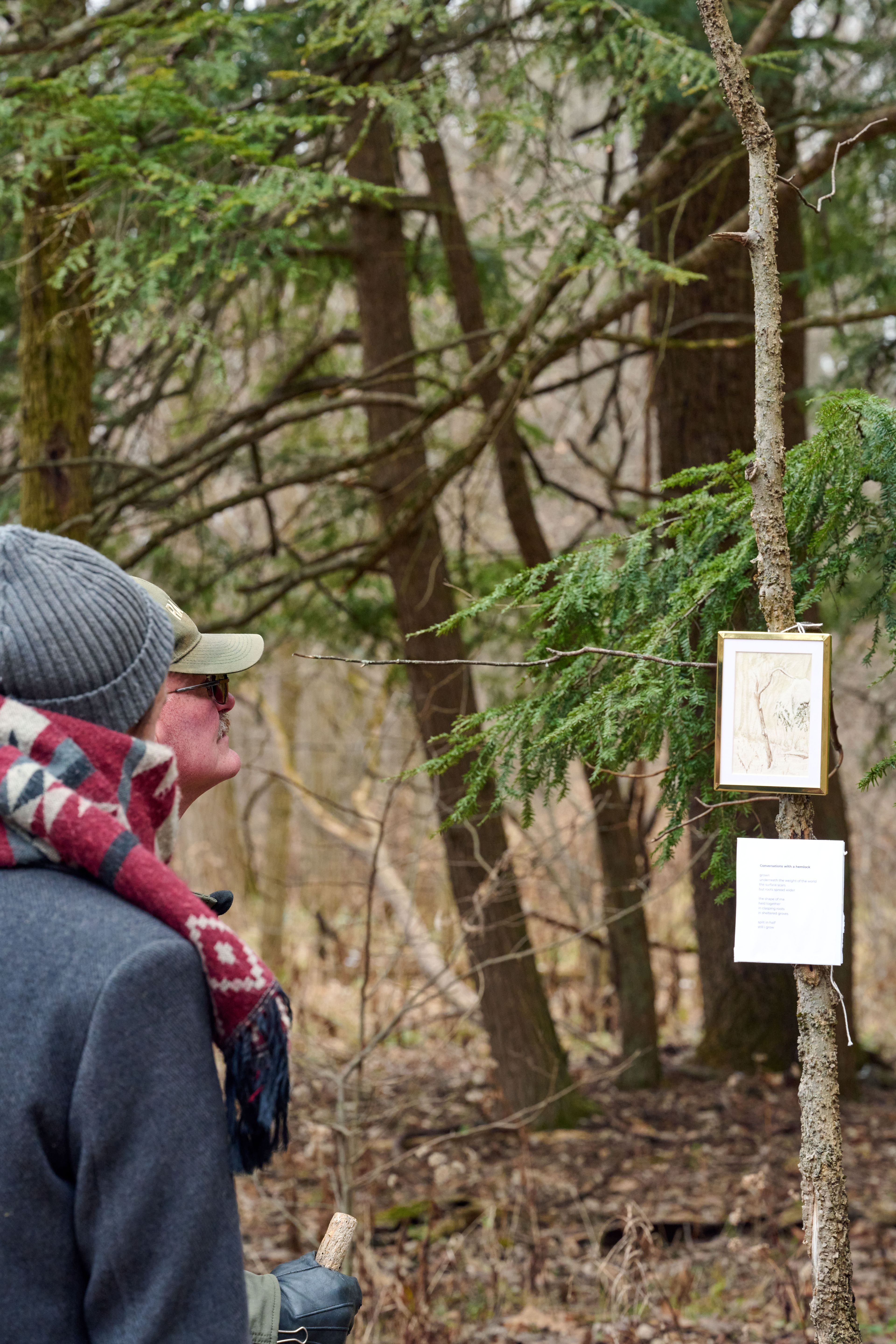 Memories of a Forest exhibition