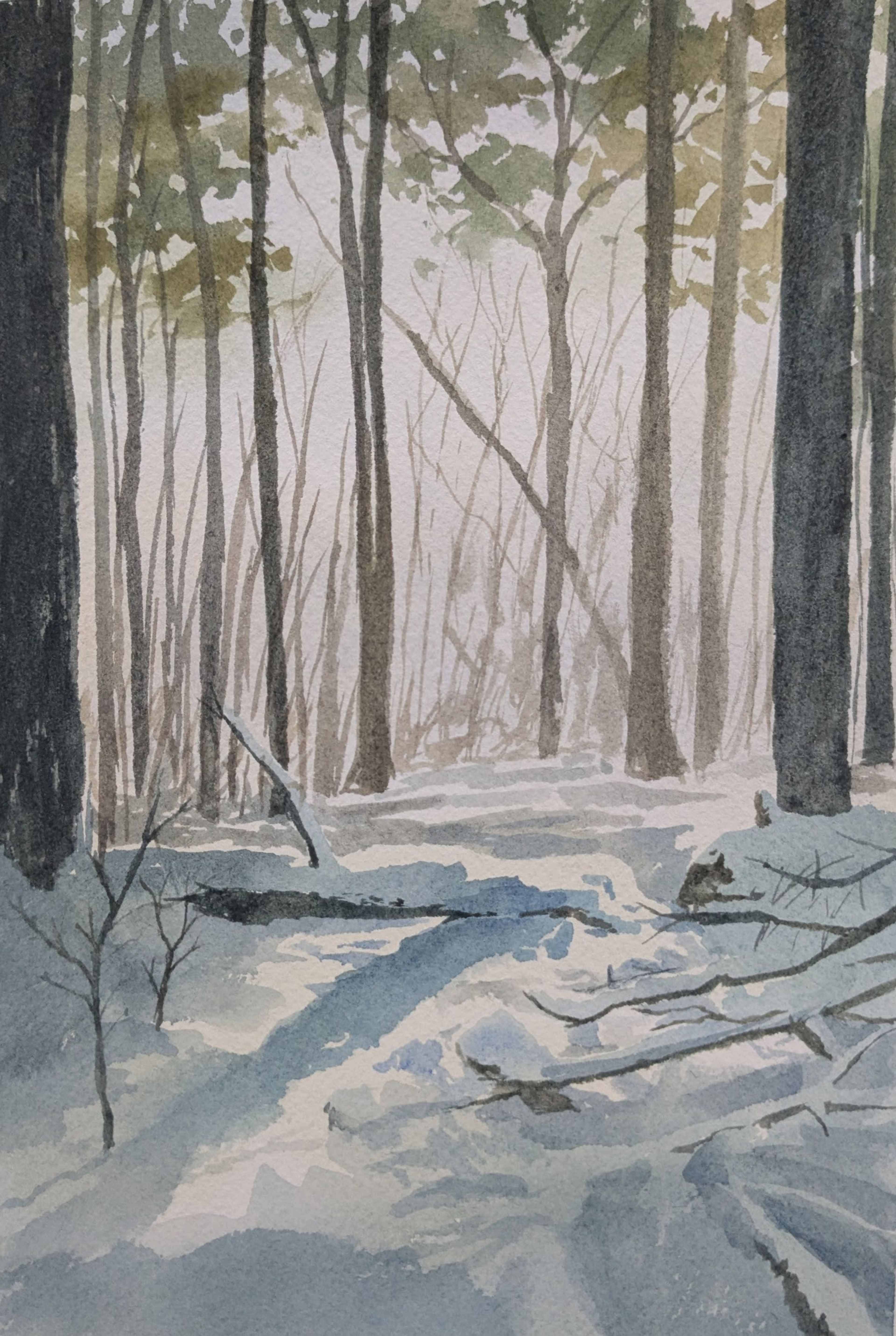 watercolor painting of snowy forest