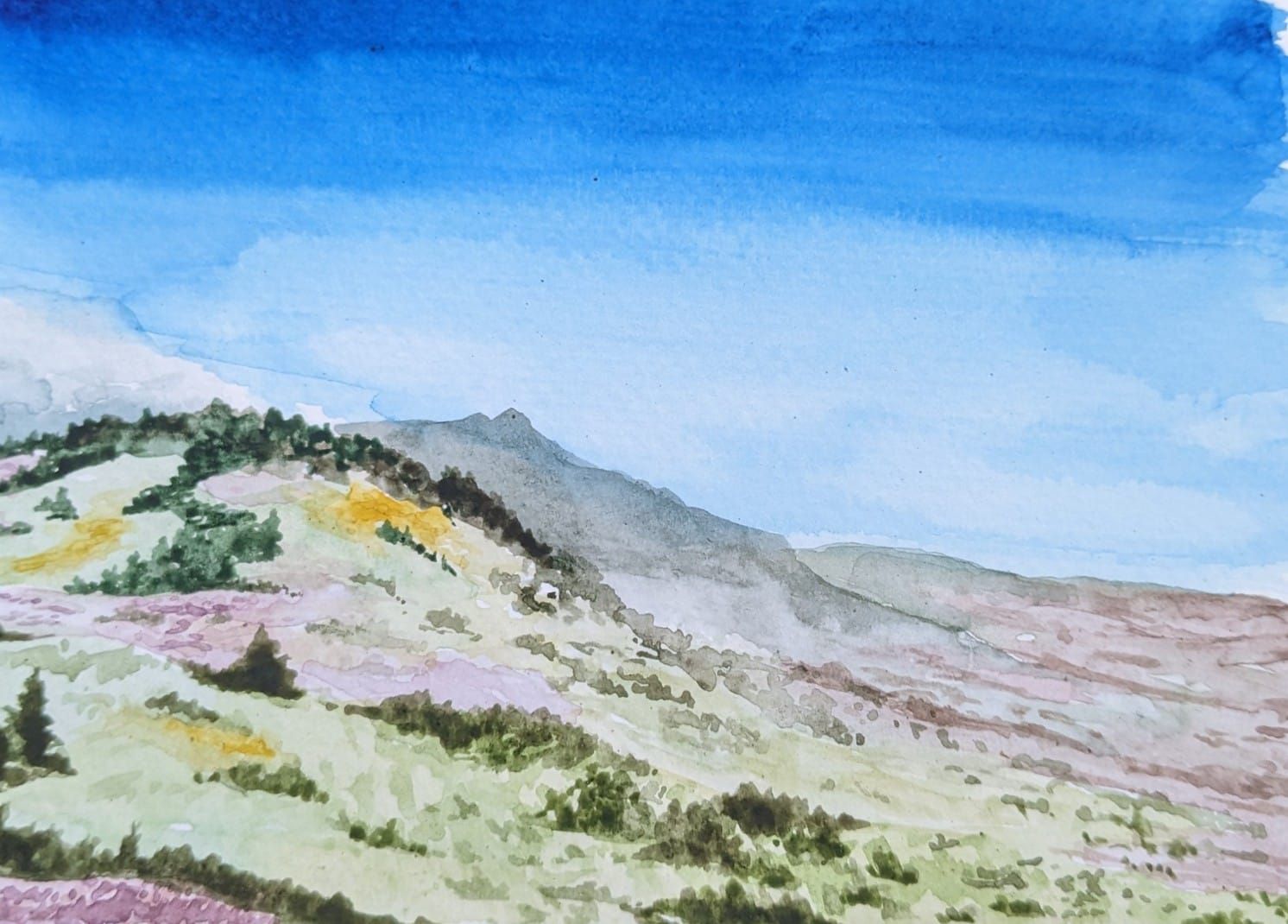 Color in the high desert