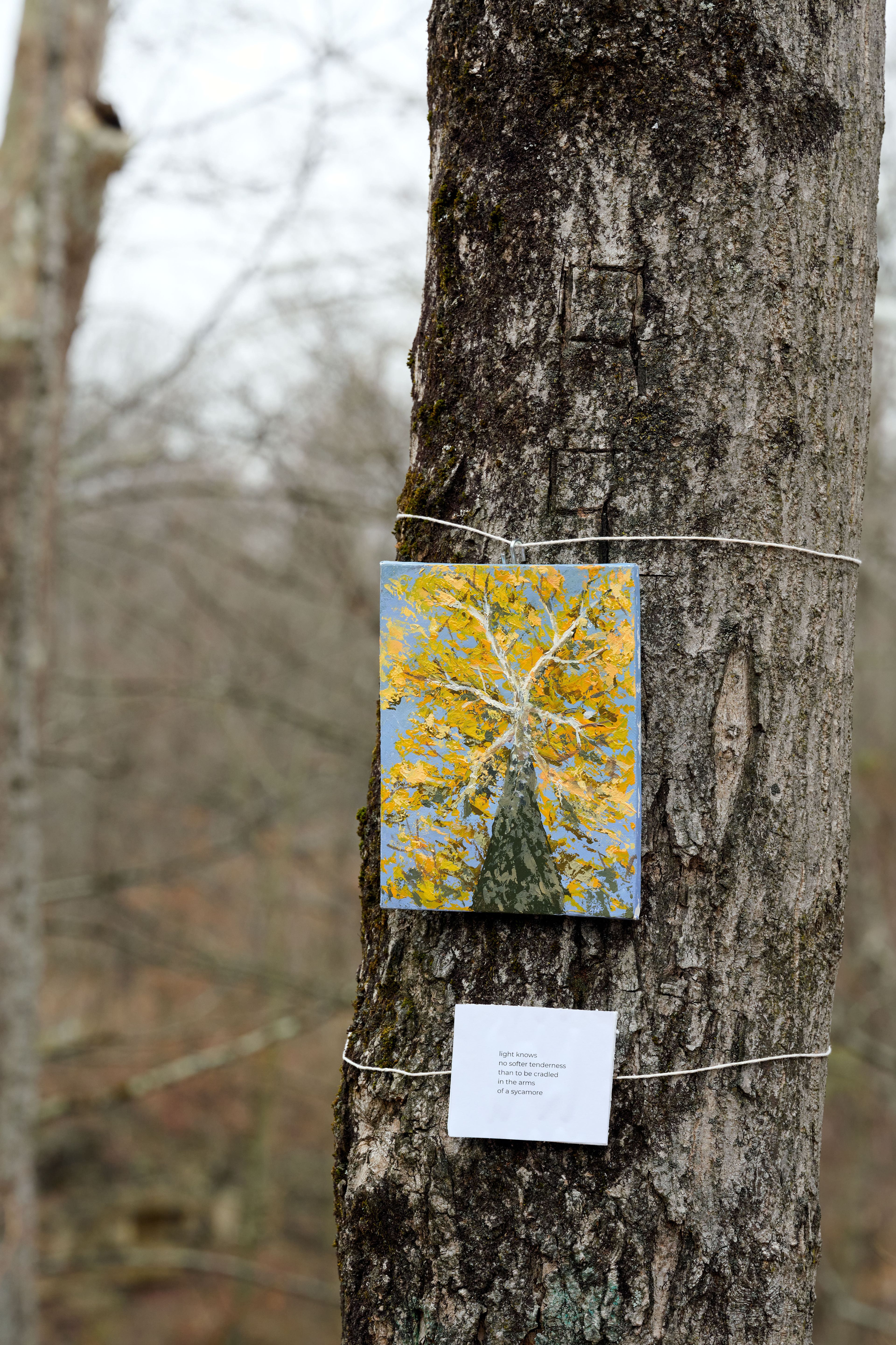 Memories of a Forest exhibition