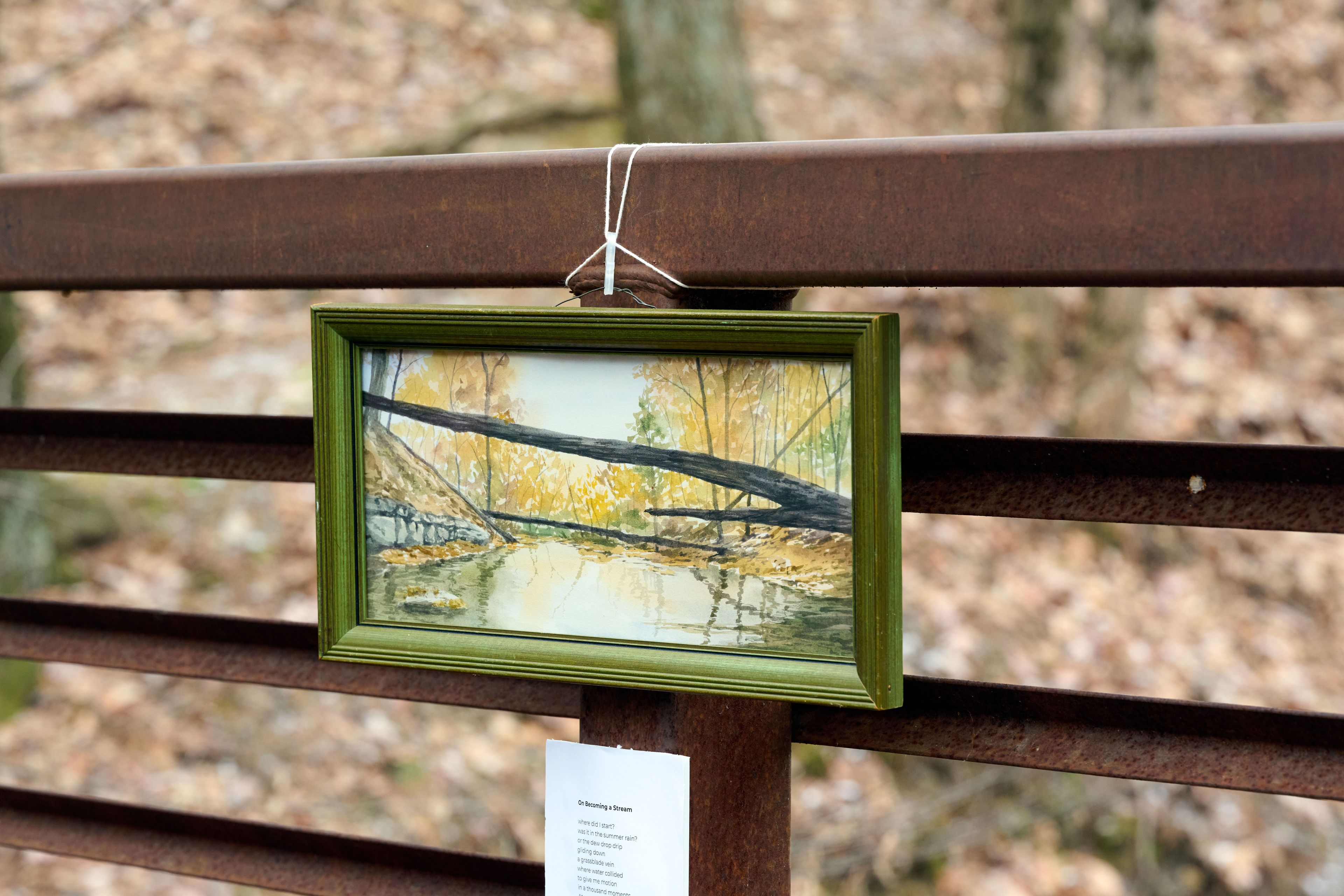 Memories of a Forest exhibition