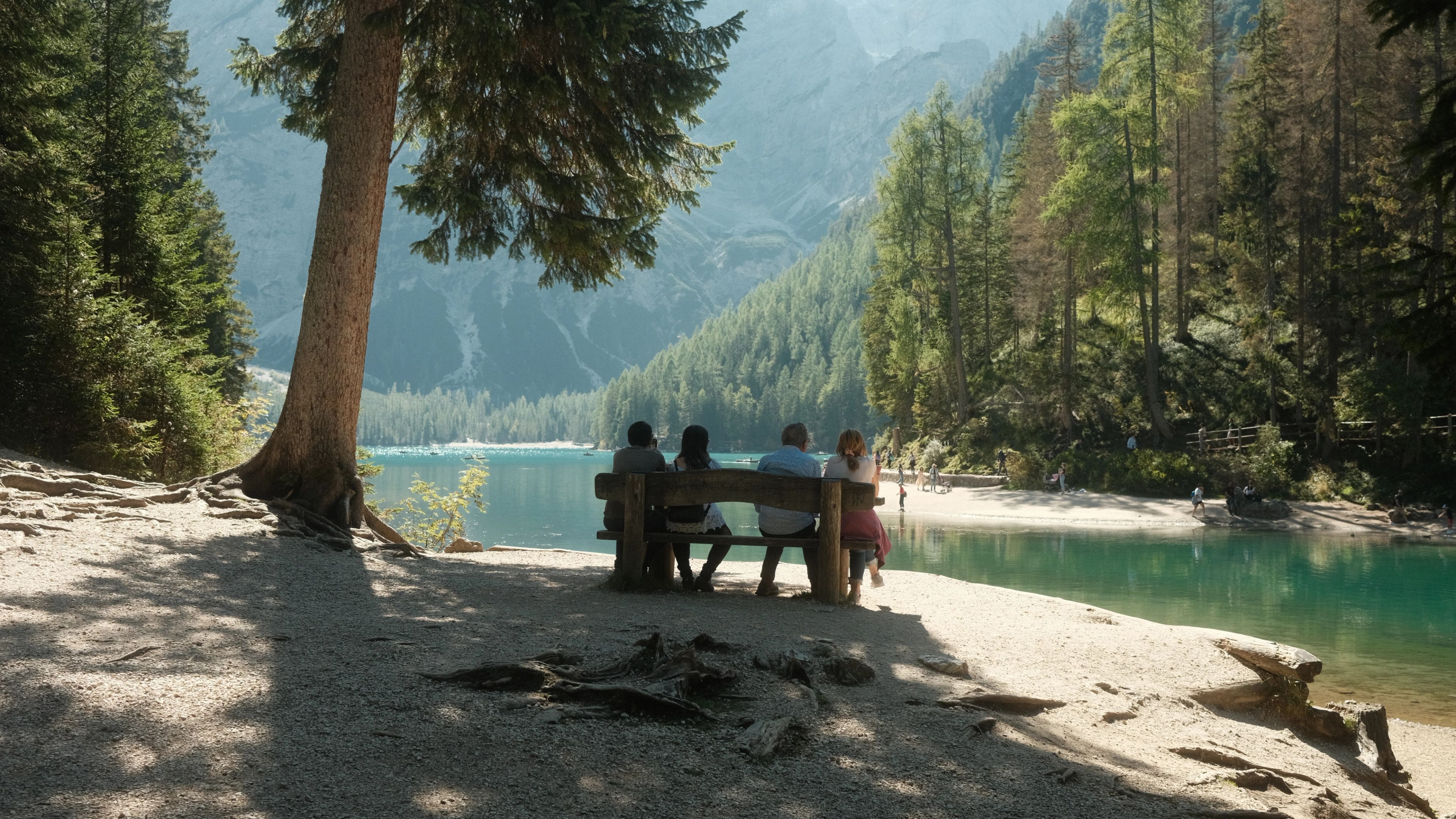 A group of people sits under the shade of a tree by a vibrant lake