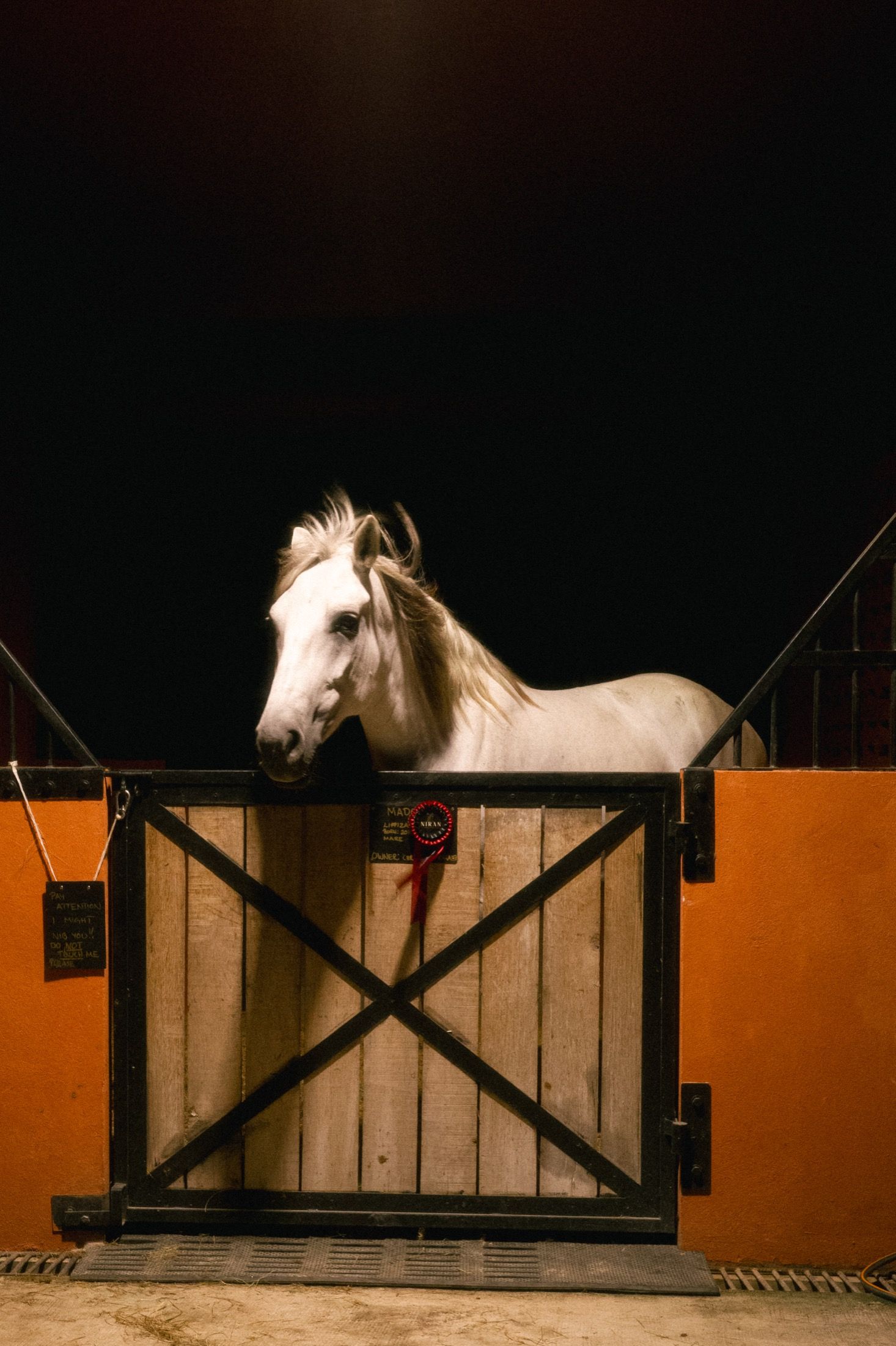 Will & Pear — Niran Farm, Thailand