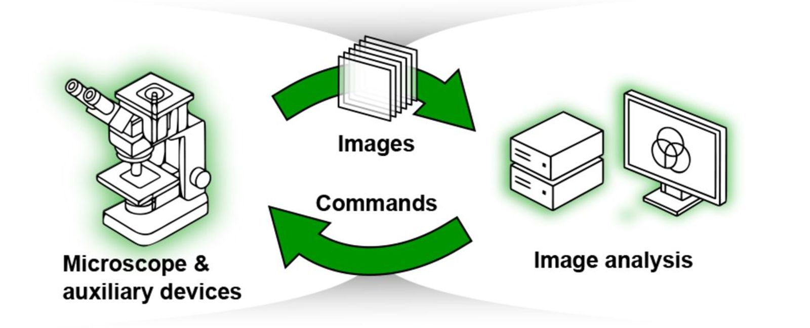 Smart Microscopy: Automation of spatial single-cell analysis with Cytely