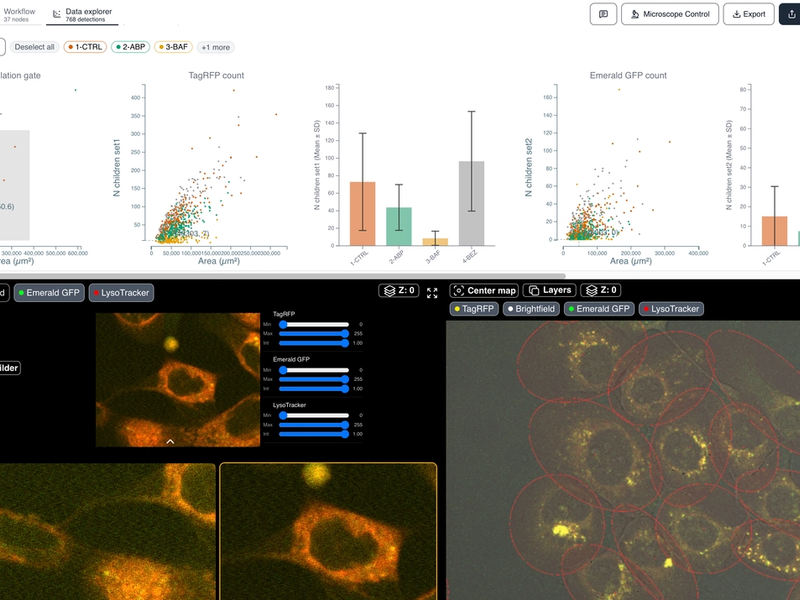 Lysosomal pH Activity in FaDu and HGFb Cells