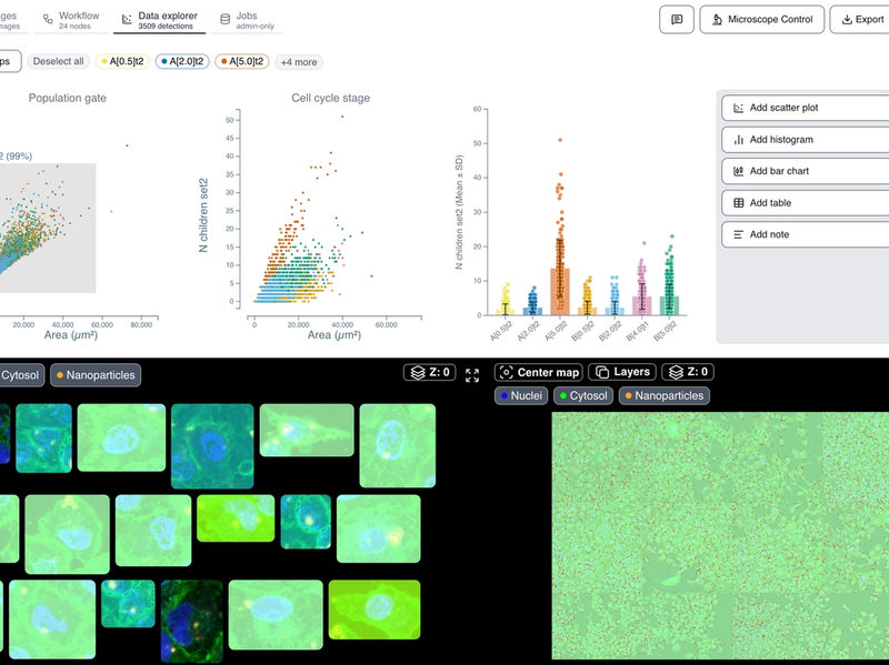 Spot Uptake in Cells