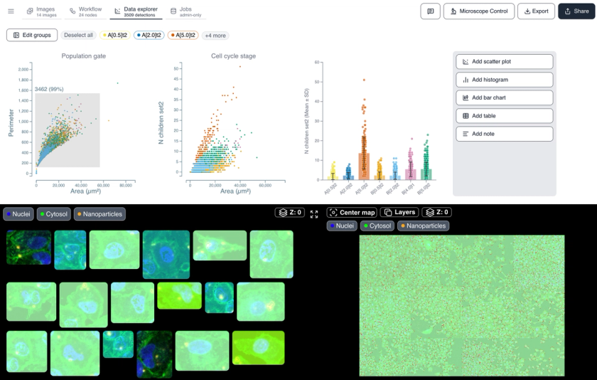 Spot Uptake in Cells