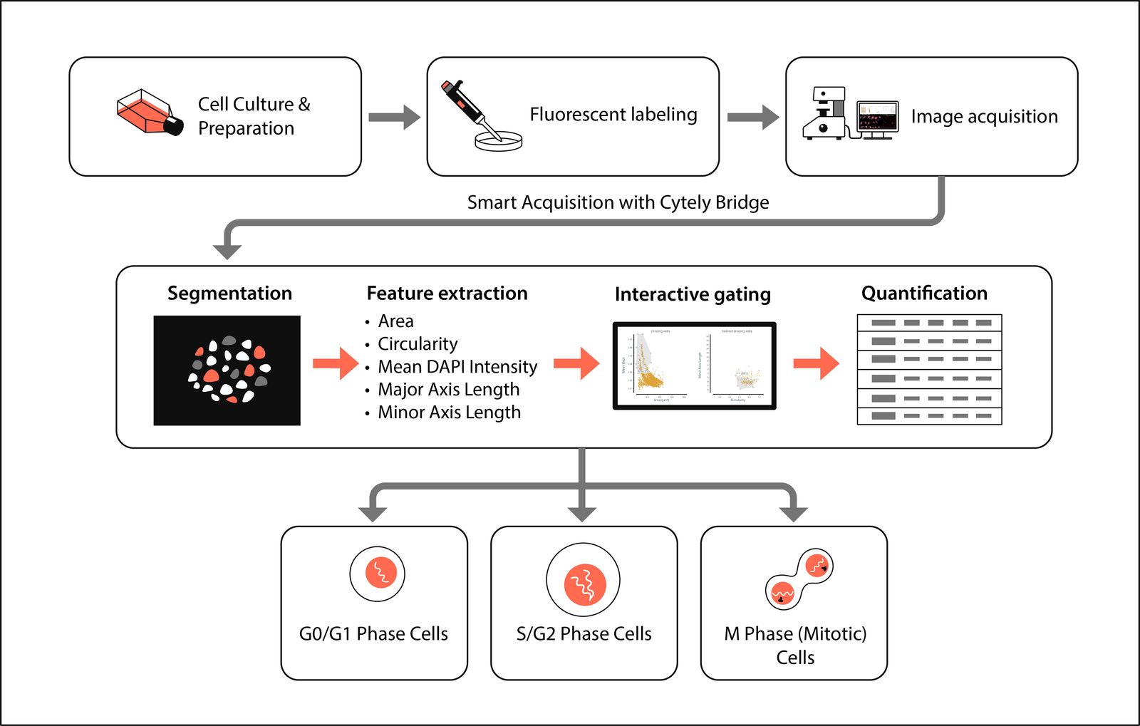 Complete experimental and analysis workflow