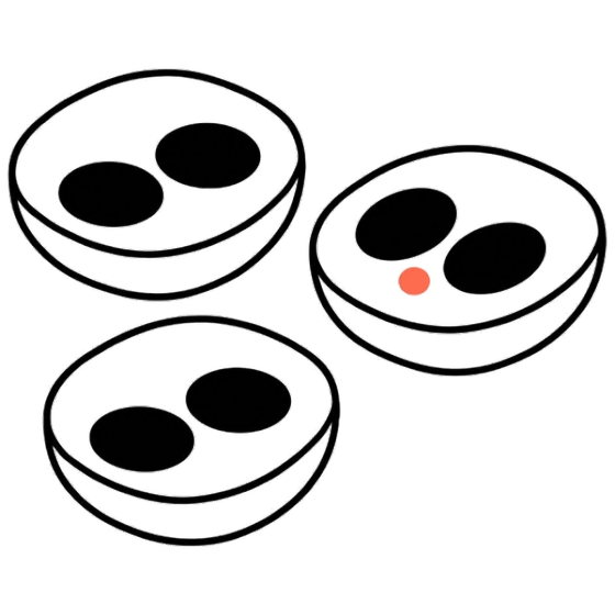Micronucleus & Cytokinesis-Block Genotoxicity illustration