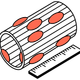 Muscle Fiber Nuclear Localization