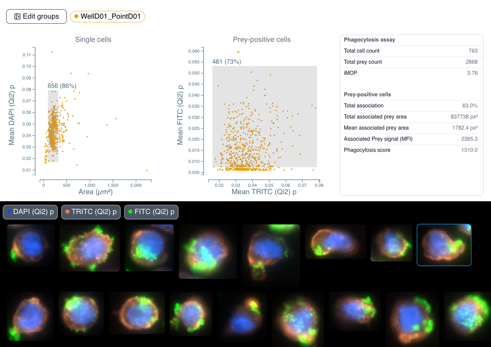A Framework for Quantitative, Image-Based Cell Analysis