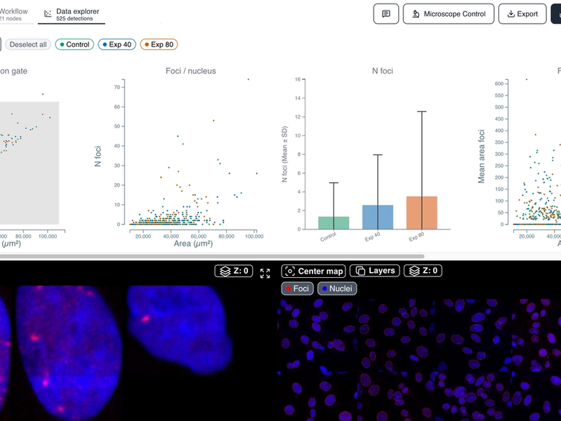 DNA Damage & Genotoxicity - Foci Counting per Nucleus