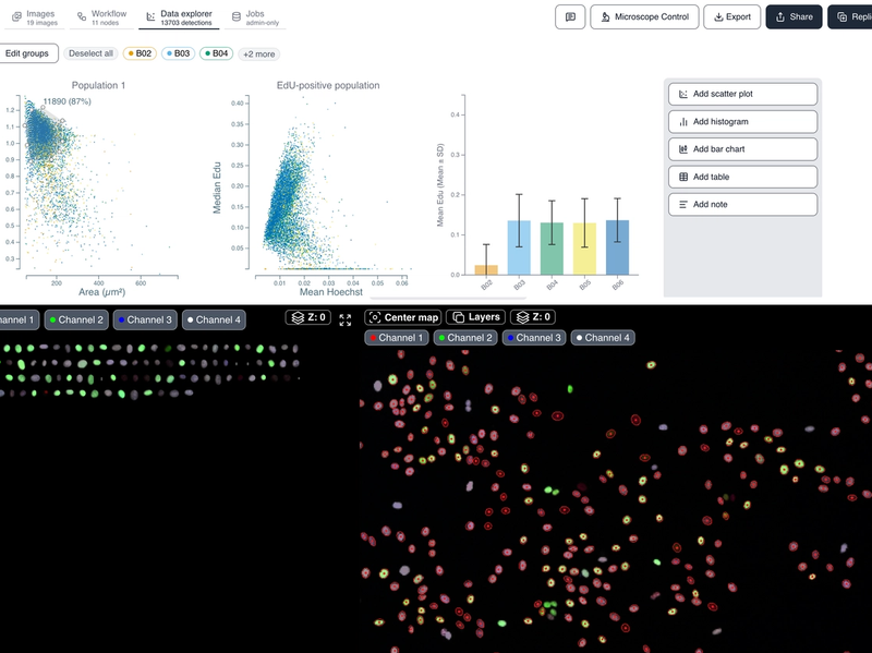 Cell Cycle Arrest in Breast Cancer Cells