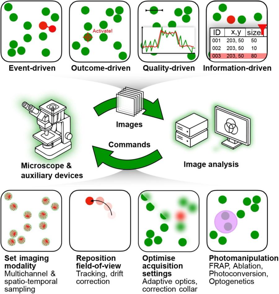 Visual abstract for Smart microscopy: current implementations and a roadmap for interoperability