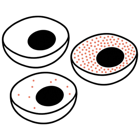 Gene Knockdown & Overexpression Validation illustration
