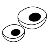 BrdU/EdU Proliferation