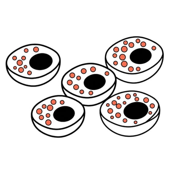 Lysosome & Endosome Abundance illustration