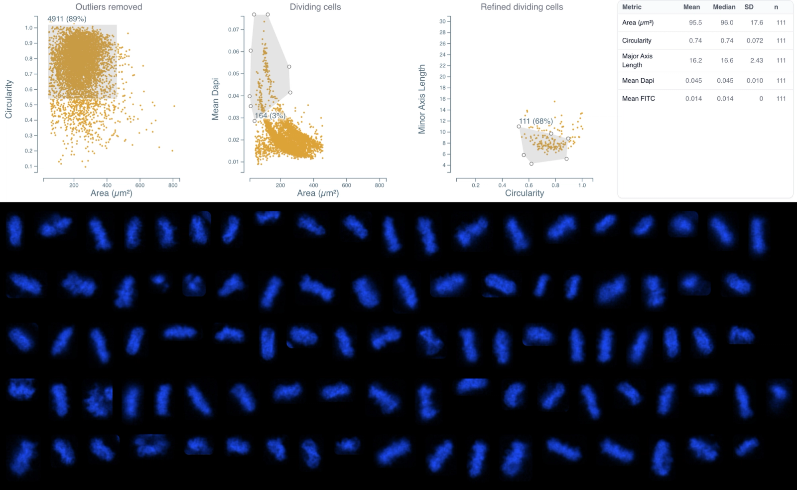 Cytely interactive analysis interface