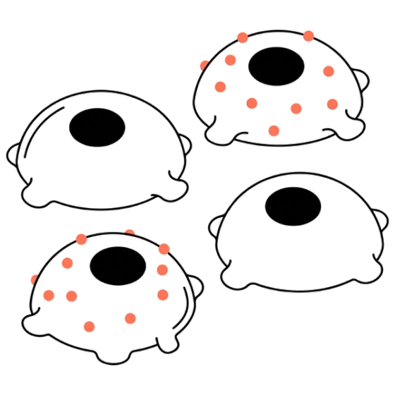 Macrophage Polarization Phenotyping illustration