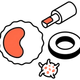 Blood Cell Classification