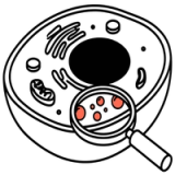 Lipid Droplet Quantification
