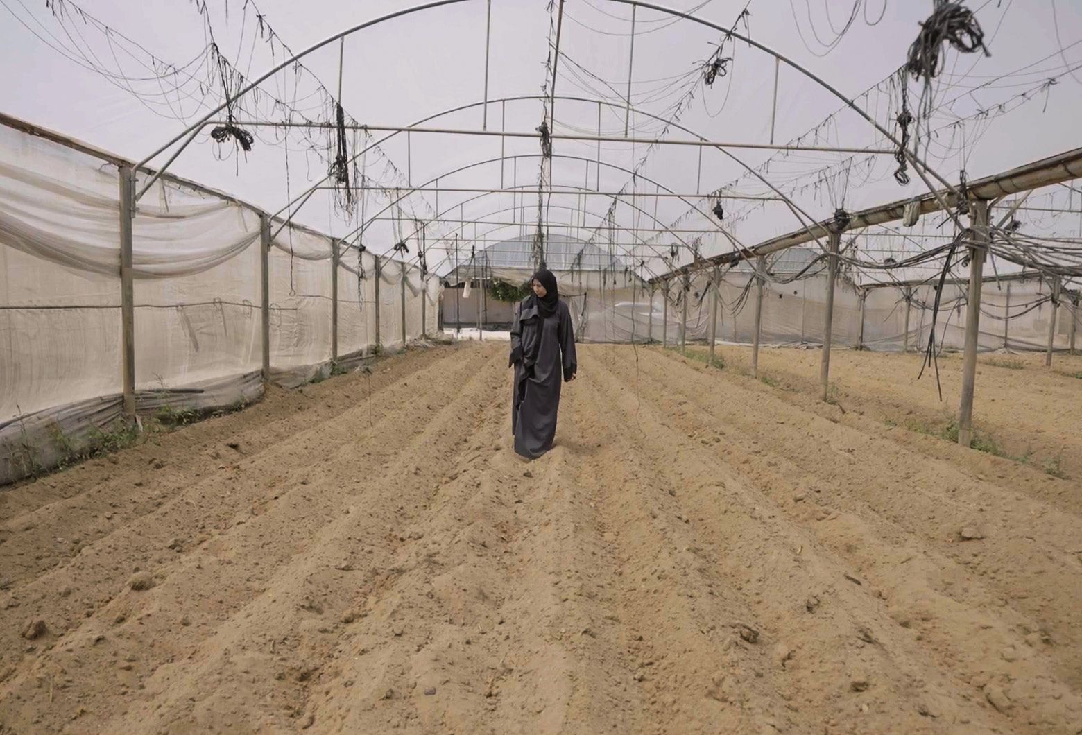 A woman stands in an empty greenhouse