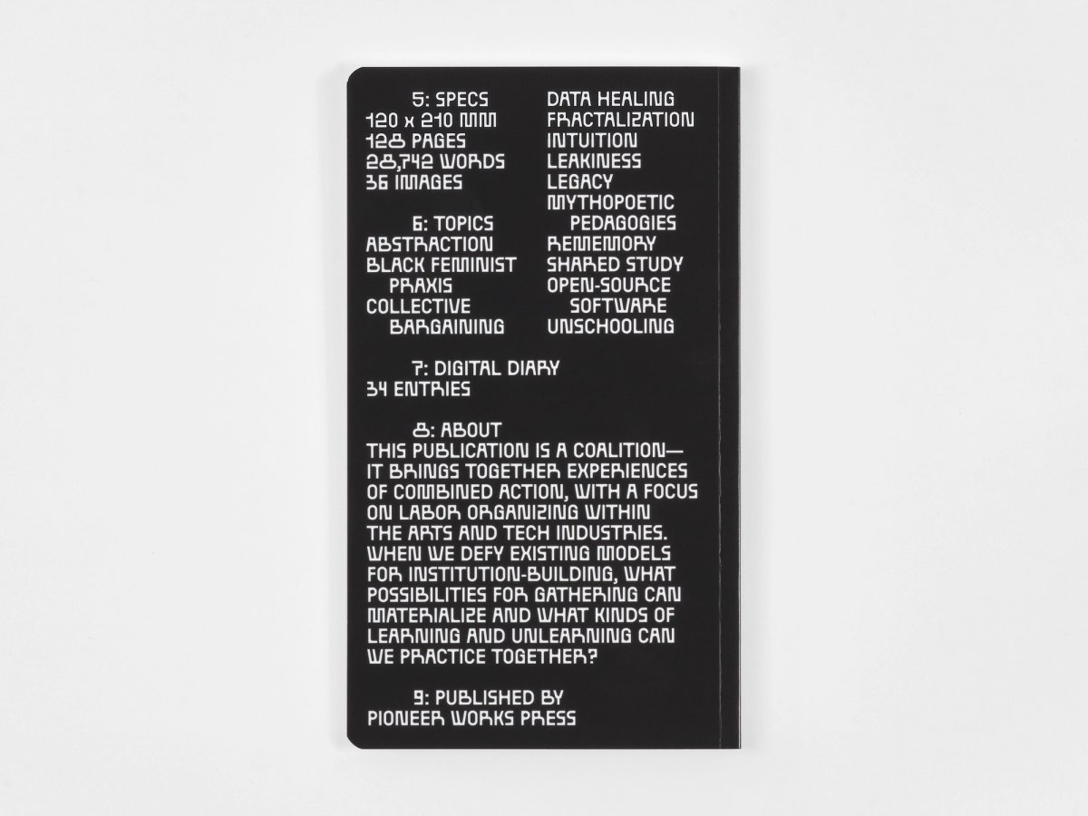 Software for Artist Book #3
