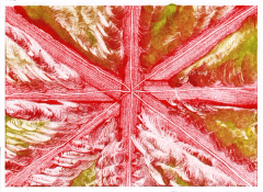 *Red Green Flag #1*, 2024