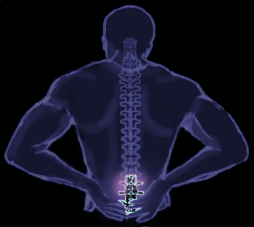 Exercises for Lower Back Pain: Core, Resistance, Stretching – Elite Men ...
