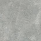 Grey Amani