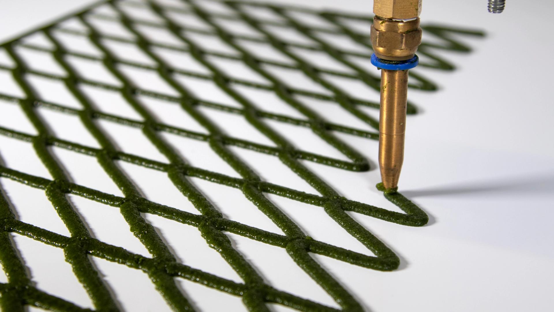 A hand folds back the corner of an algae net with diamond-shaped holes.