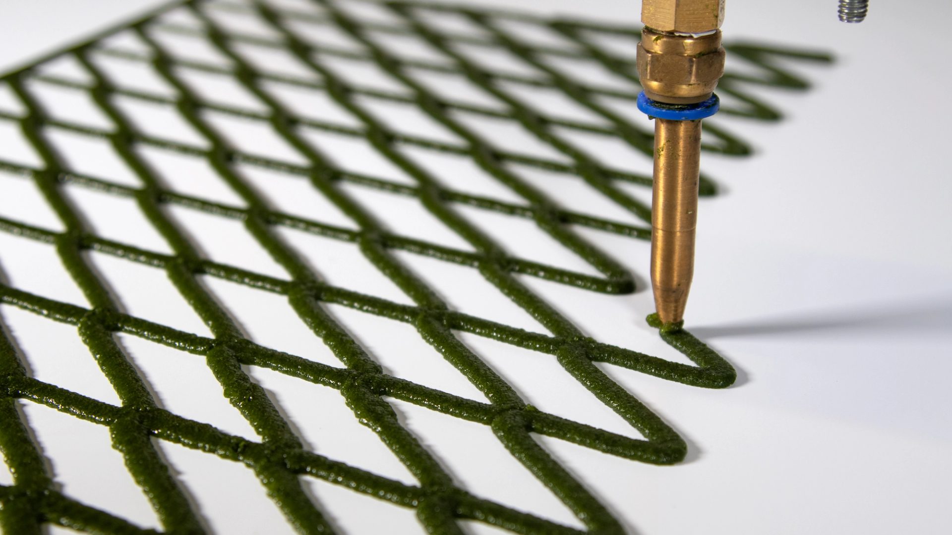 A hand folds back the corner of an algae net with diamond-shaped holes.