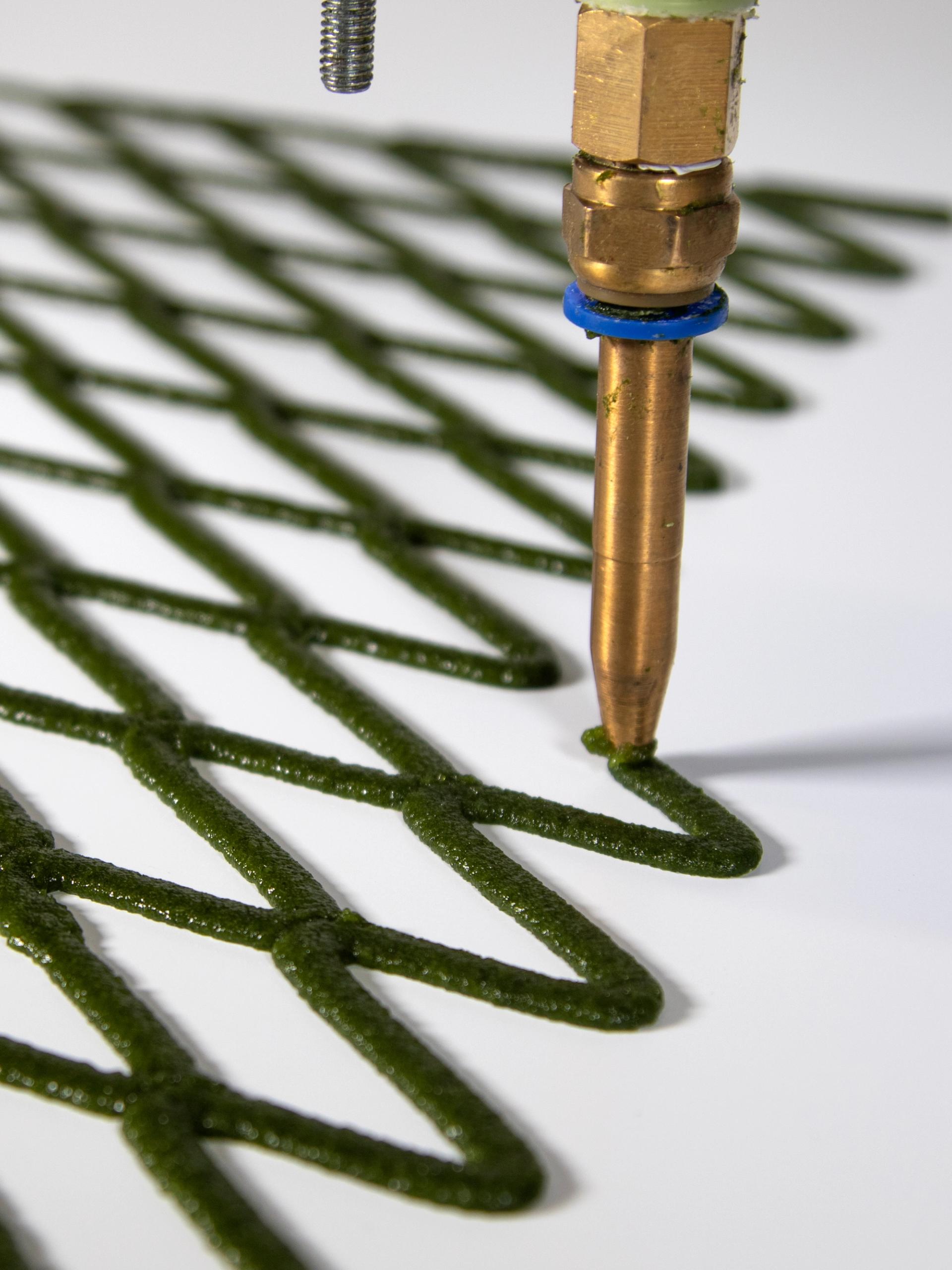 A hand folds back the corner of an algae net with diamond-shaped holes.