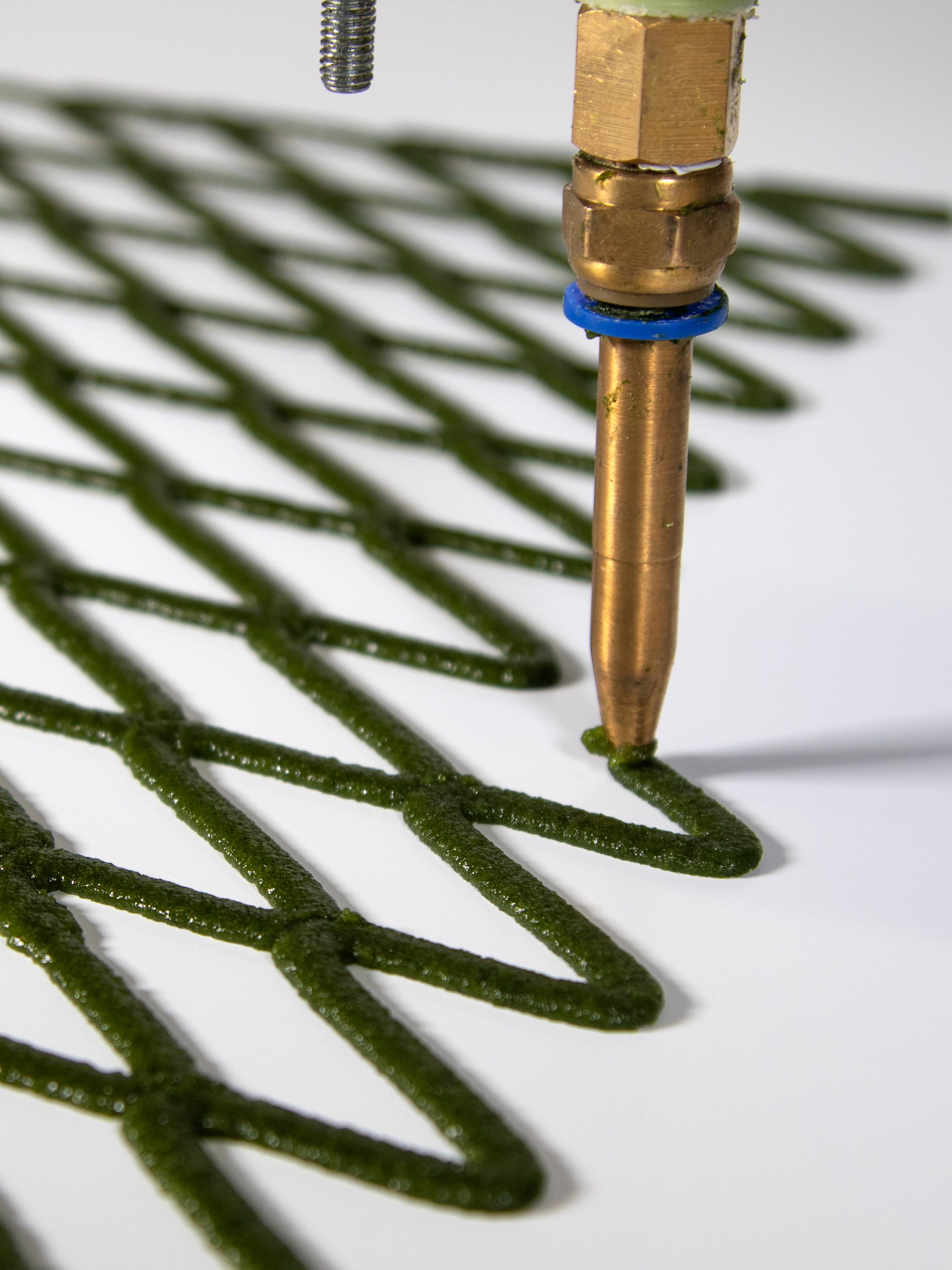 A hand folds back the corner of an algae net with diamond-shaped holes.