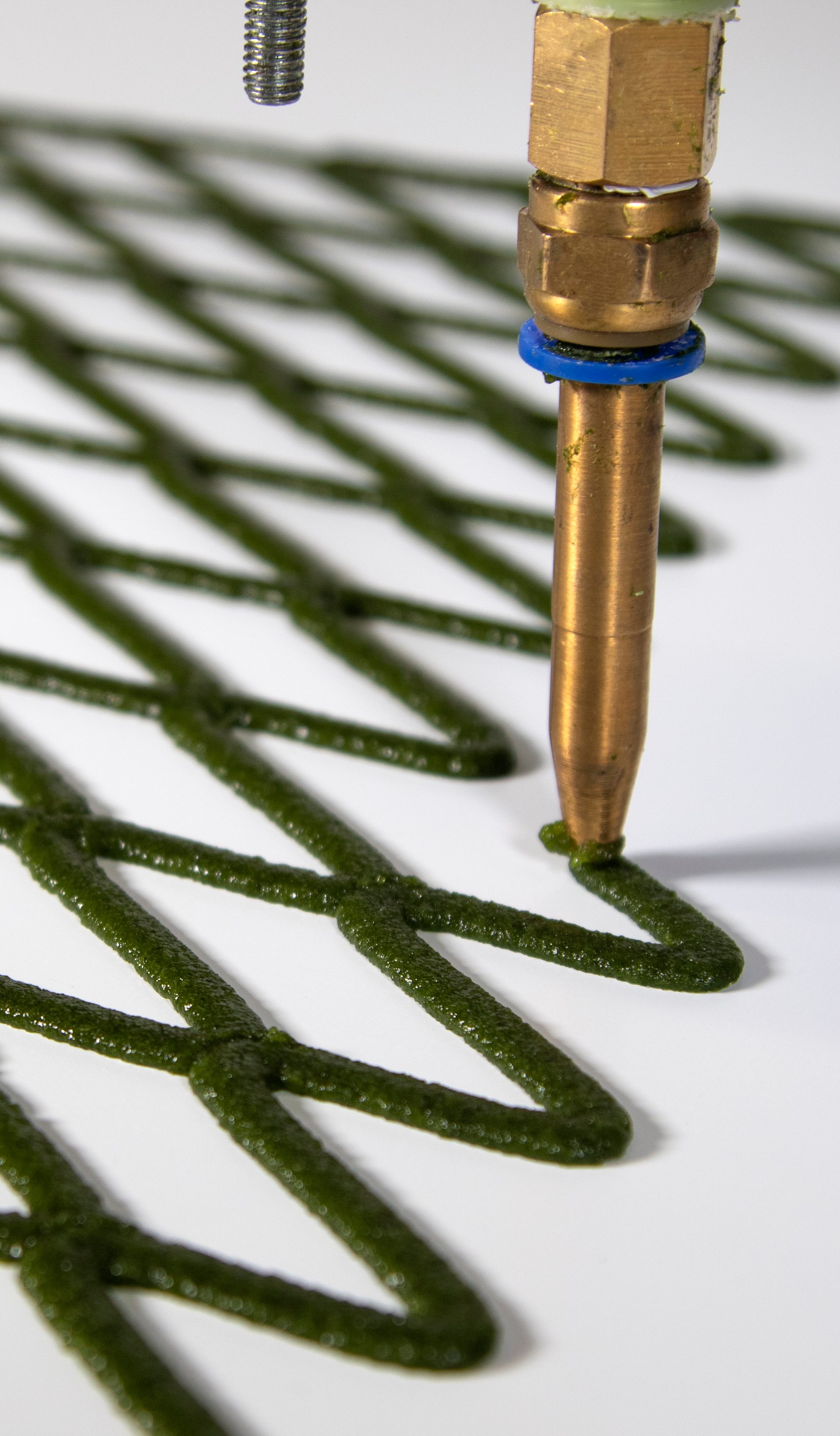 A hand folds back the corner of an algae net with diamond-shaped holes.
