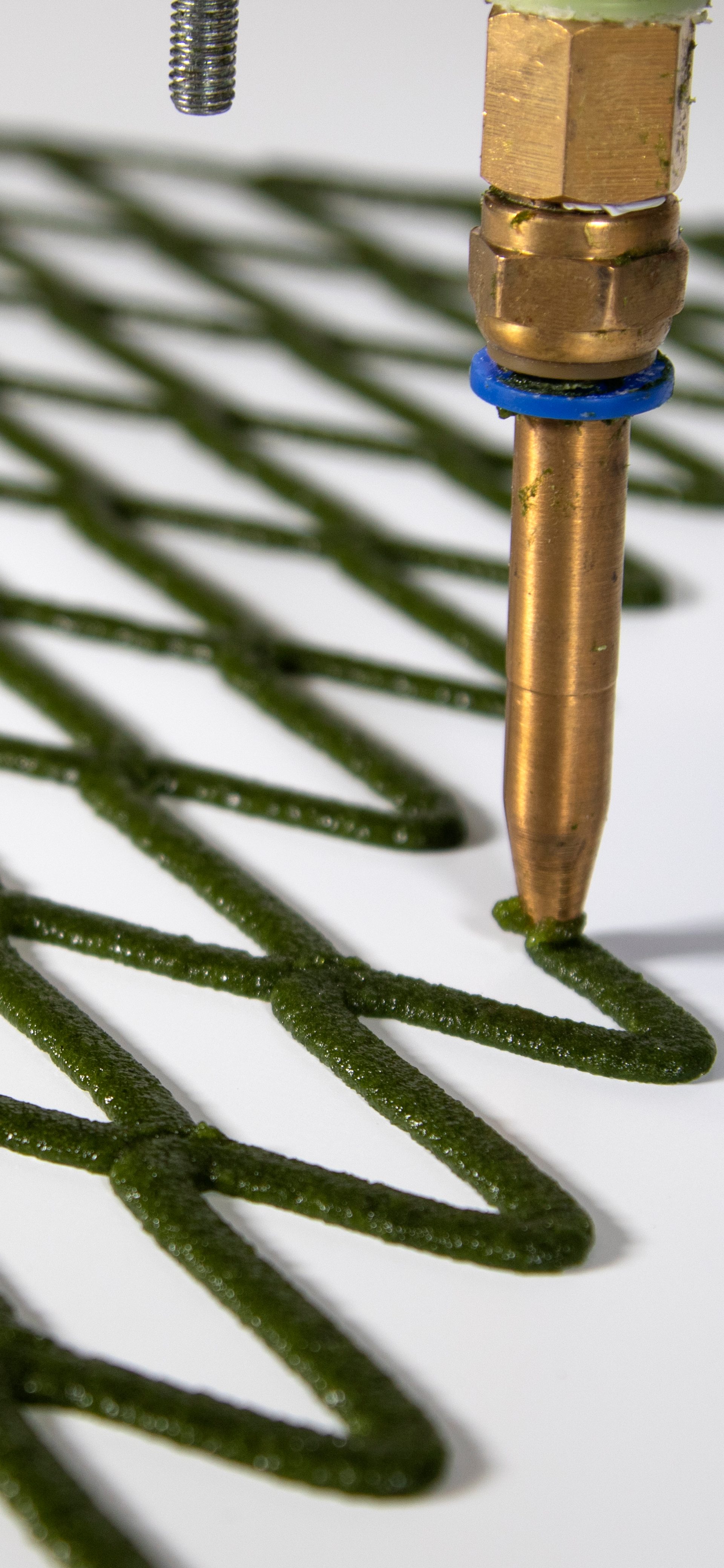 Alginate Biomaterials