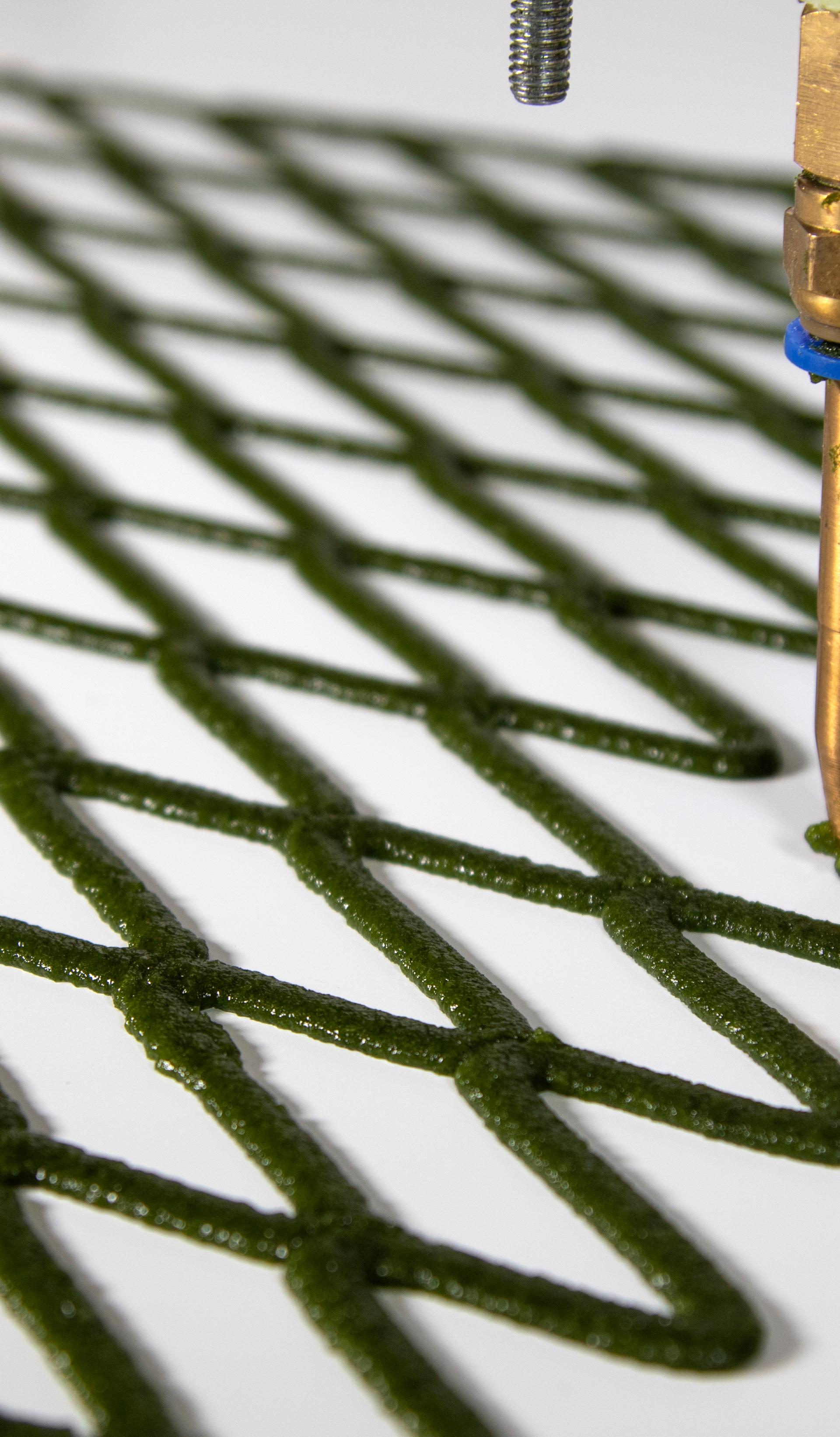 A hand folds back the corner of an algae net with diamond-shaped holes.