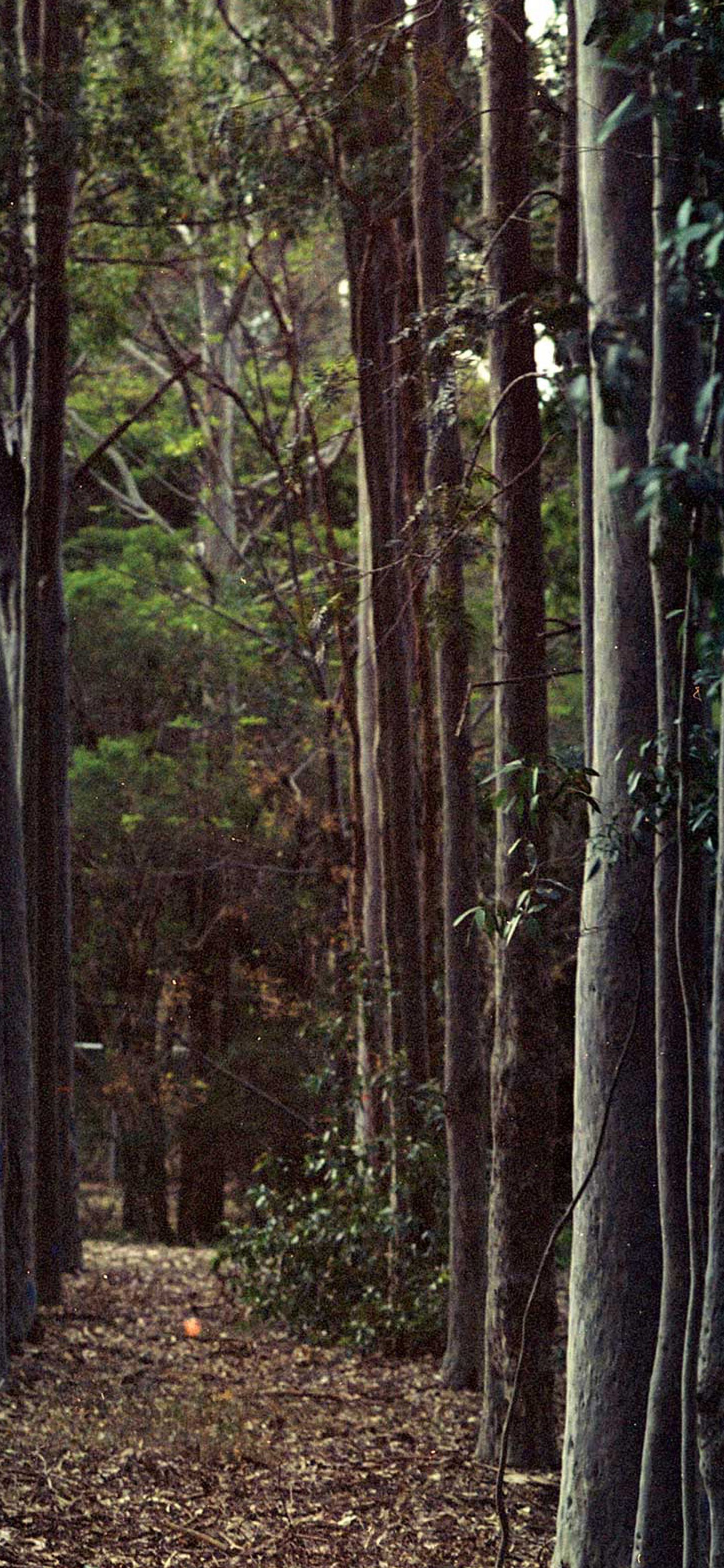 Climate Action Plan – Year one