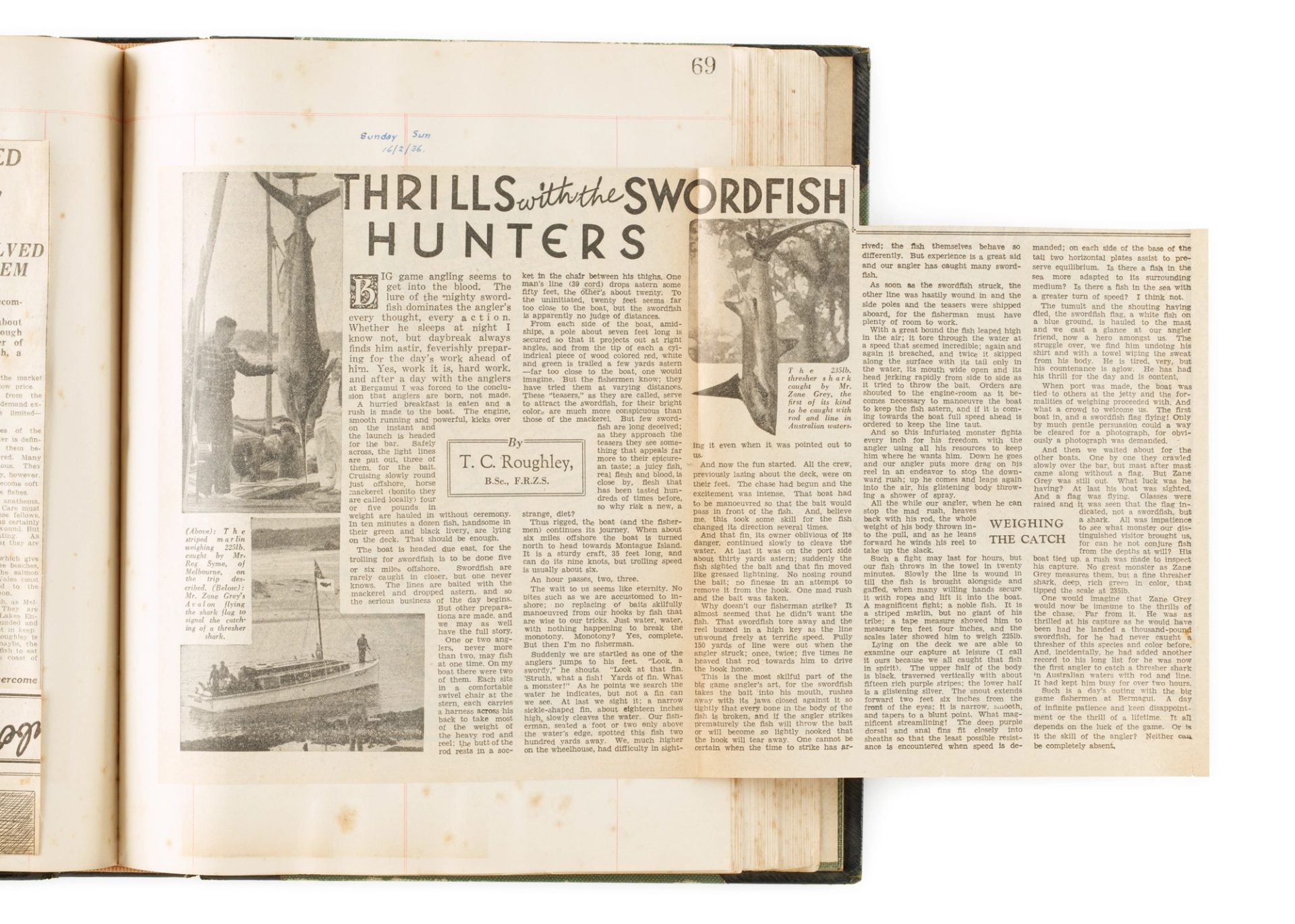 Old black-and-white newspaper article by T C Roughley with the heading ‘THRILLS with the SWORDFISH HUNTERS’, and photos of fish and a fishing vessel.