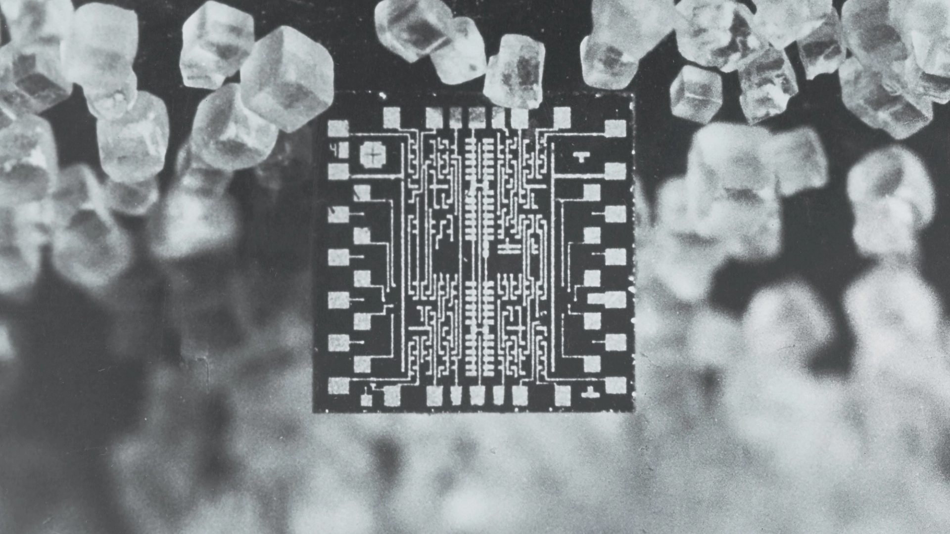 Ockham's Razor ABC Podcast