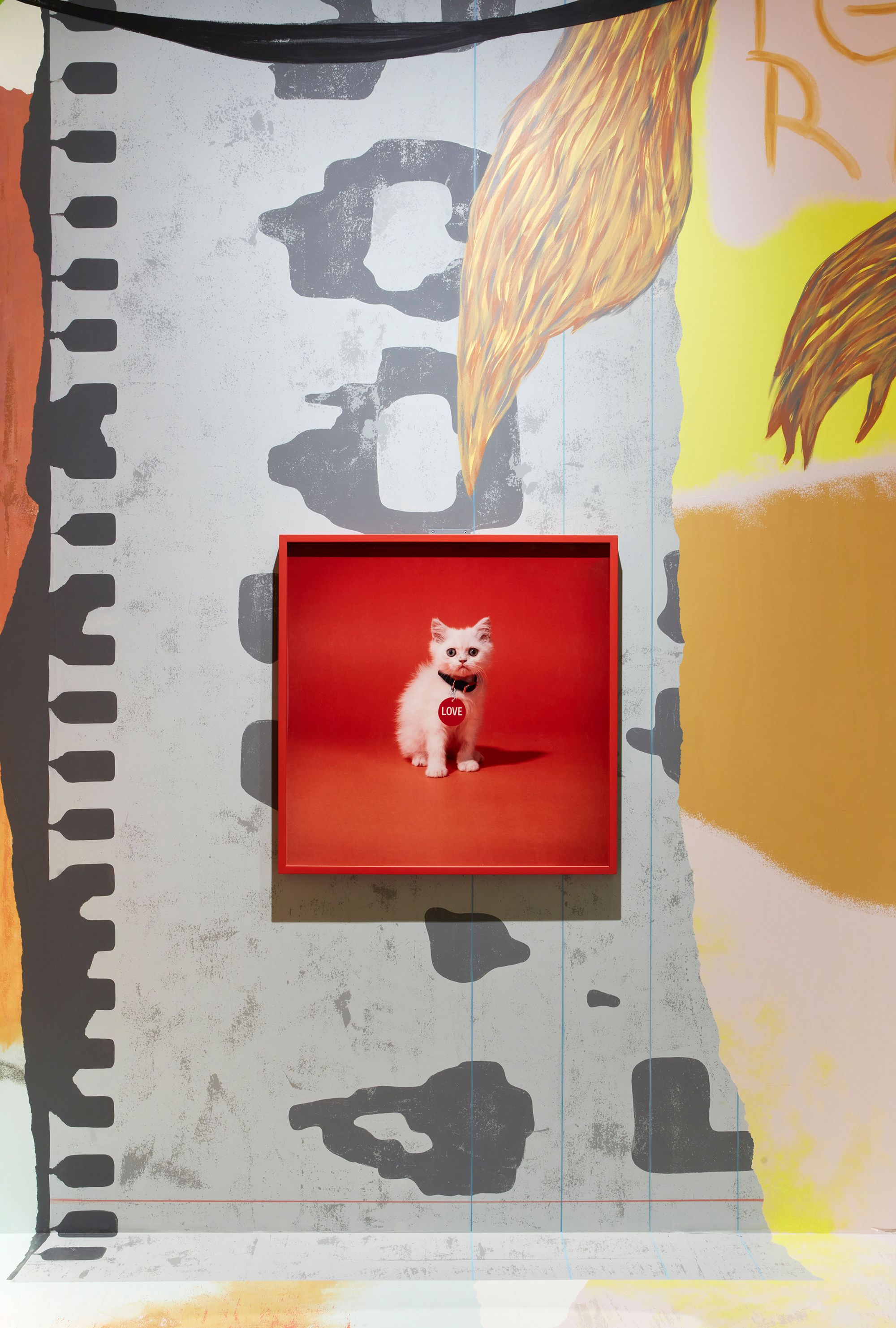 Framed photograph of a white cat on a wall in an exhibition