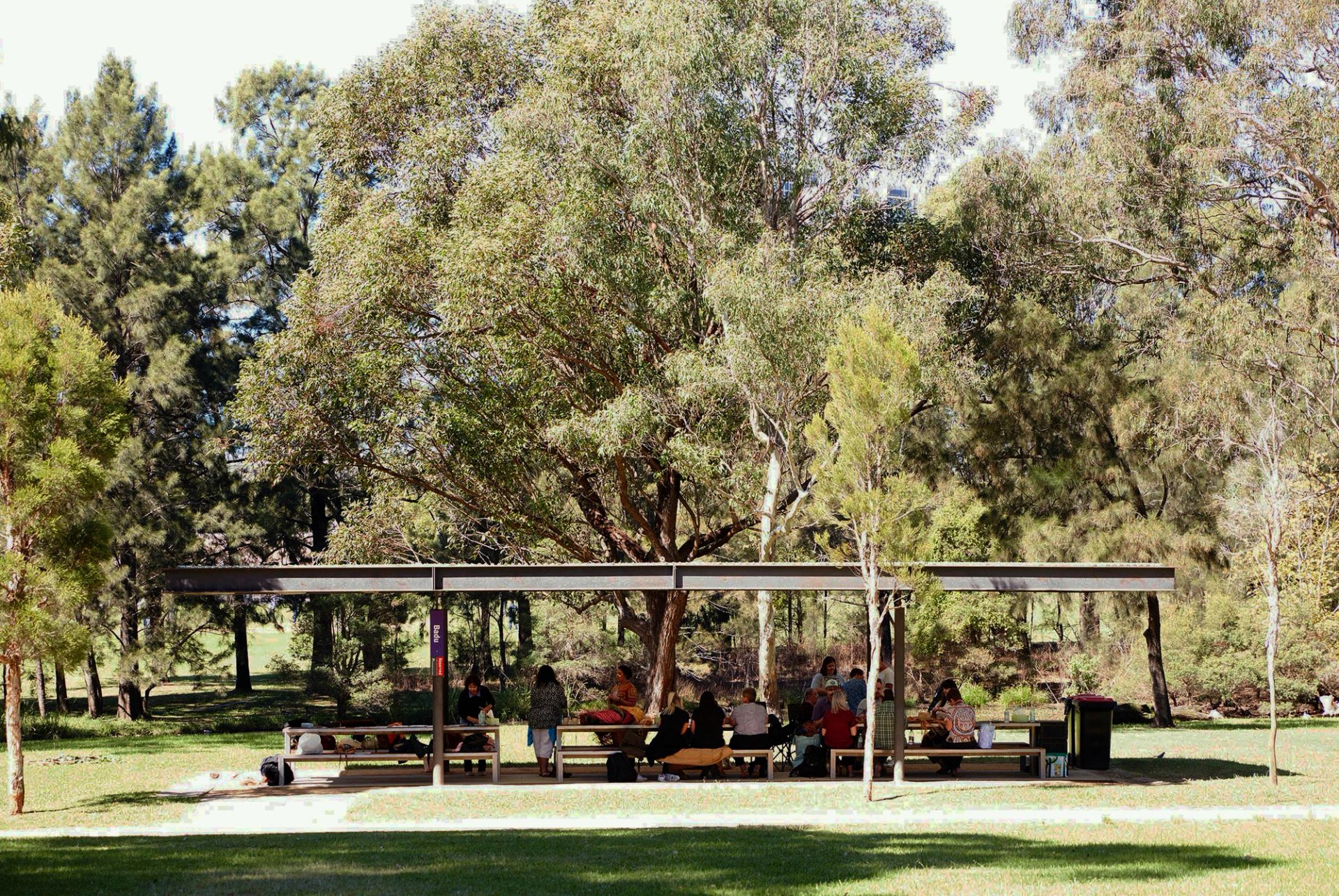 People under a shelter in a park with trees.
