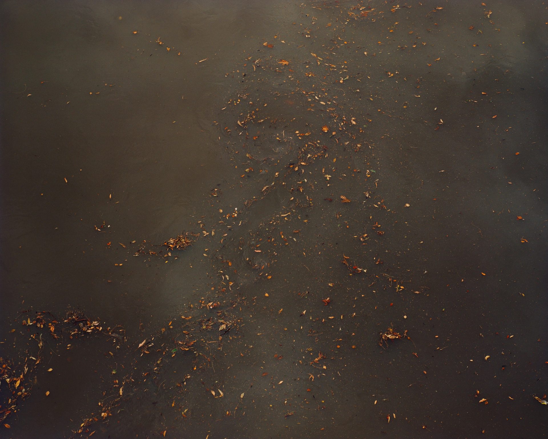After the storm #4, Parramatta, 2023.