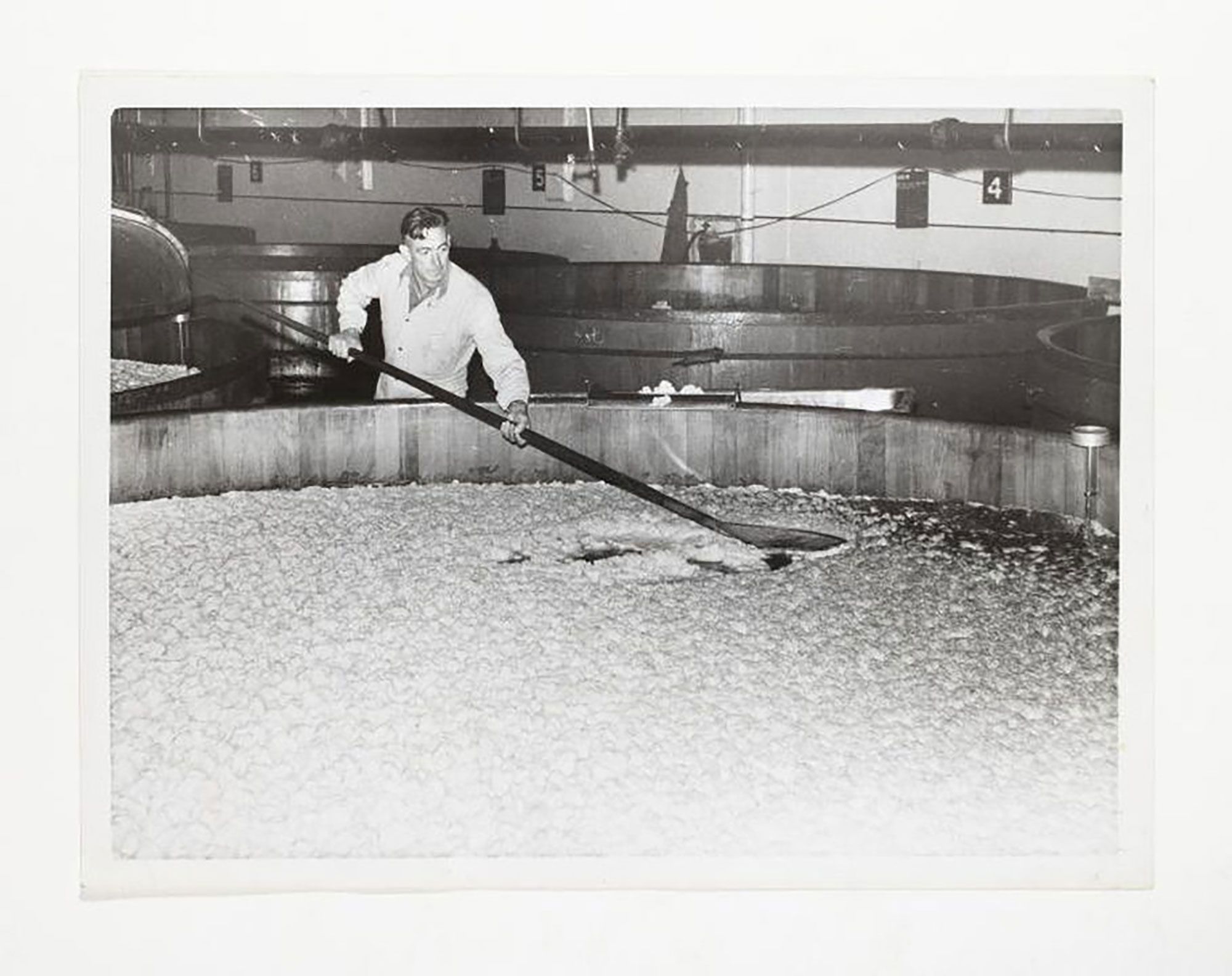 Photograph, part of Tooth and Co collection, black and white print, depicting Tooth employee skimming yeast