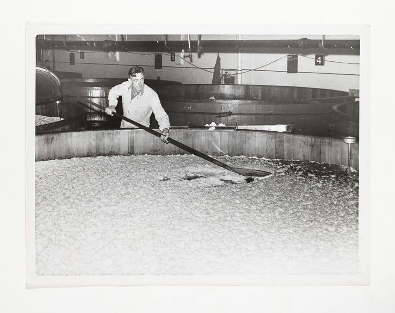 Photograph, part of Tooth and Co collection, black and white print, depicting Tooth employee skimming yeast