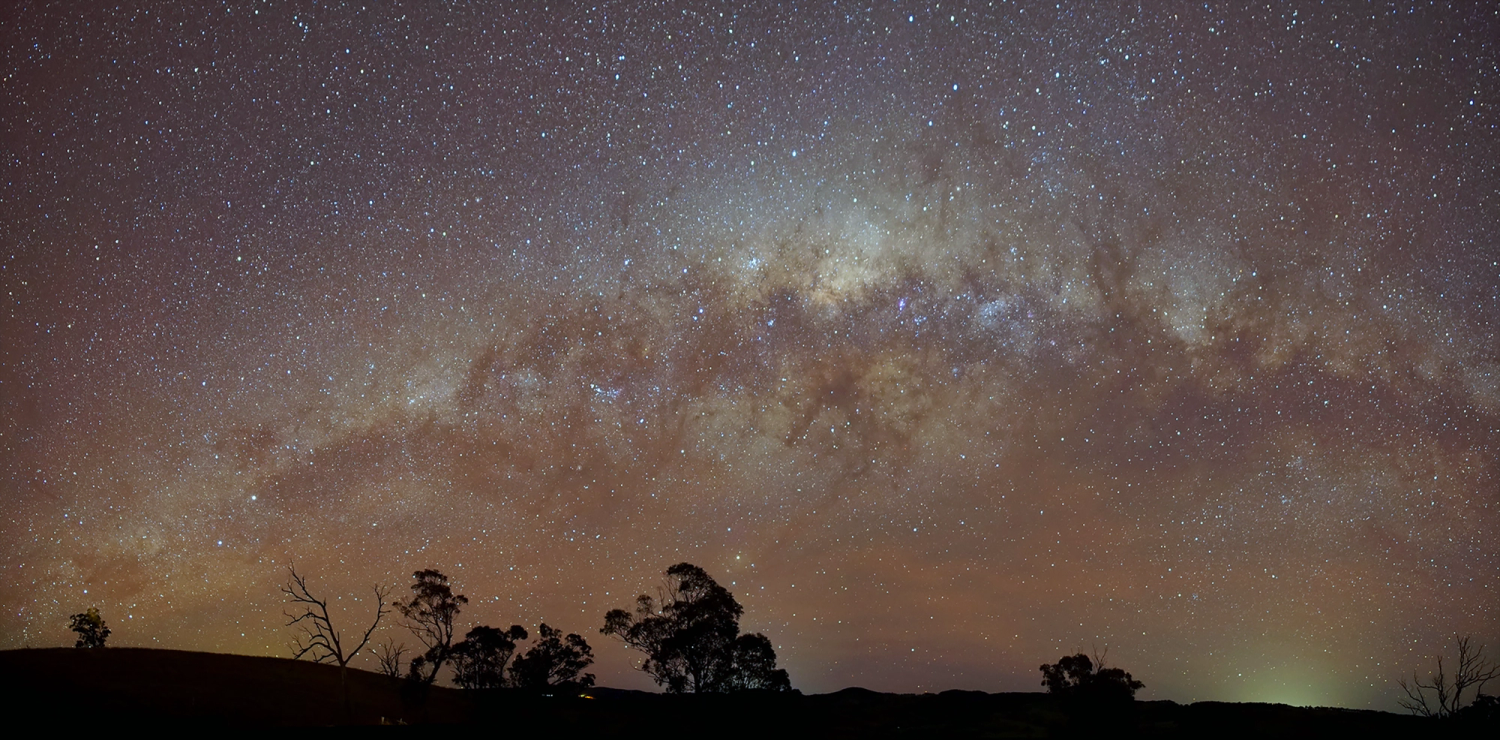 The Milky Way in the sky with shadowy trees below