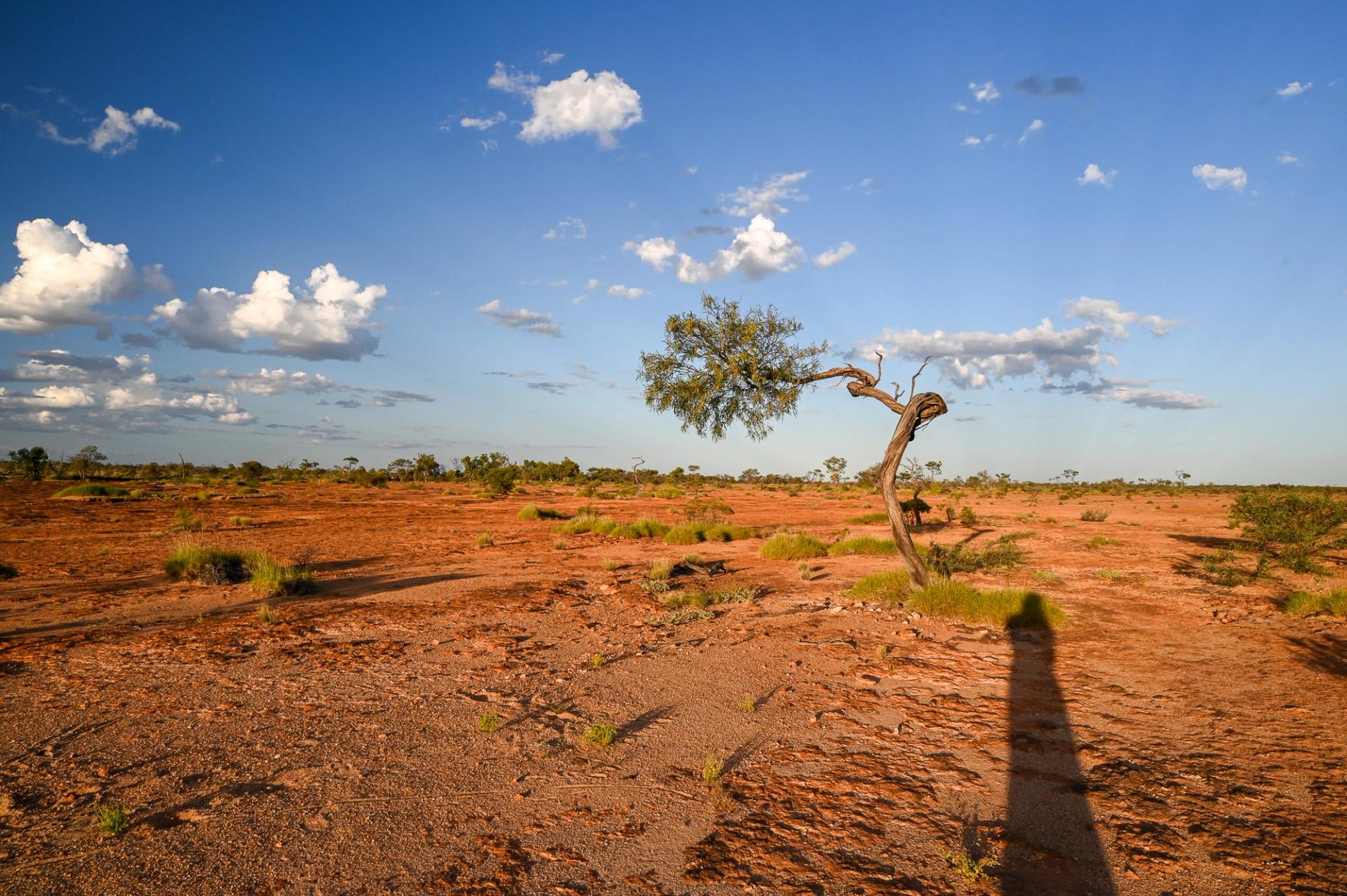Outback landscape.