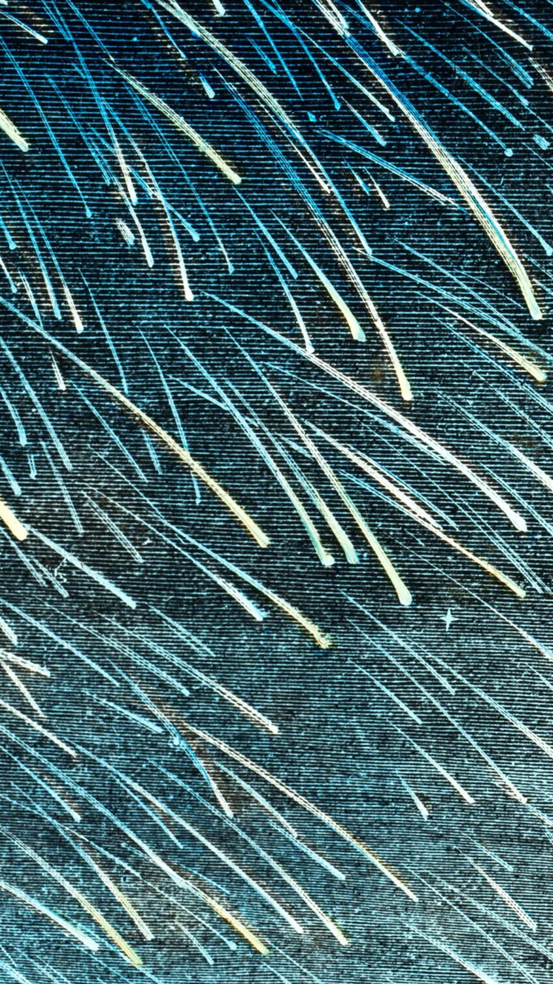 Glass plate slide of a drawing of a meteorite shower