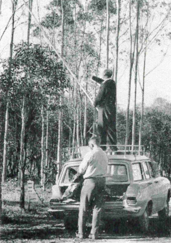 Black and white image of a man standing on a car collecting tree samples